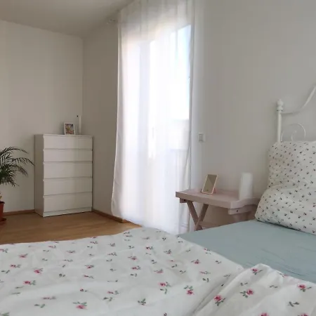 Apartment Gemuetliches In Geraeumiger Gemeinschaftswohnung Dresden