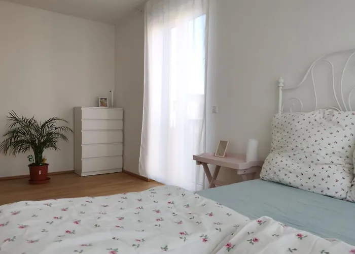 Apartamento Gemuetliches In Geraeumiger Gemeinschaftswohnung Dresden