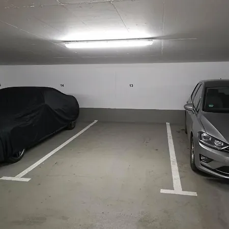 Gemuetliches In Geraeumiger Gemeinschaftswohnung Dresden